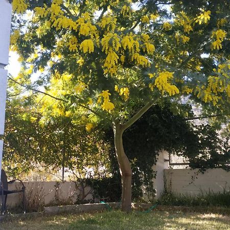 Marigeo Garden House Villa PalaiónTsiflíkion Kültér fotó