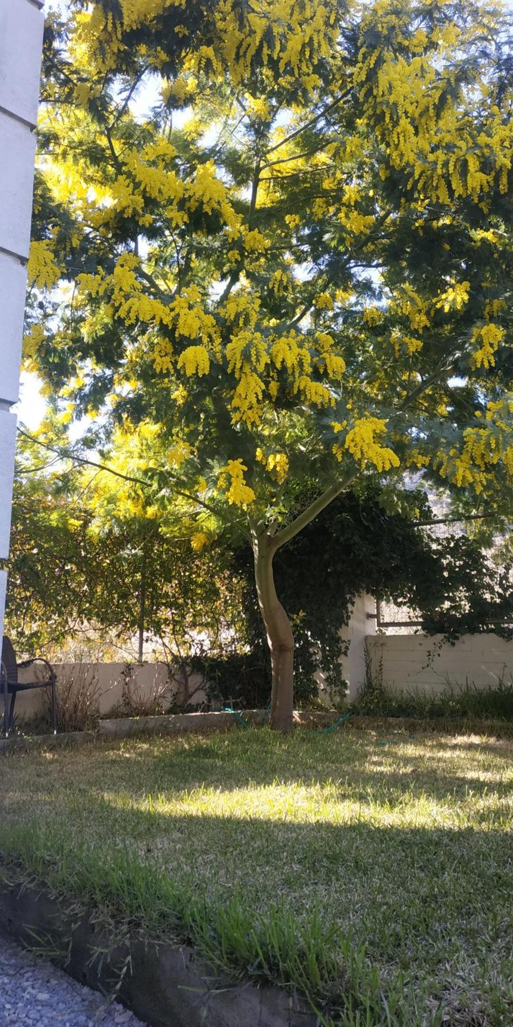 Marigeo Garden House Villa PalaiónTsiflíkion Kültér fotó